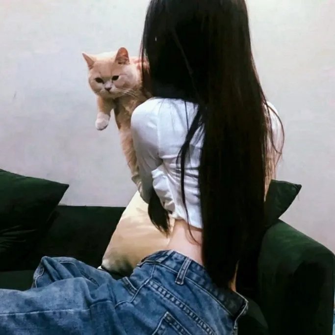 每一个晚上